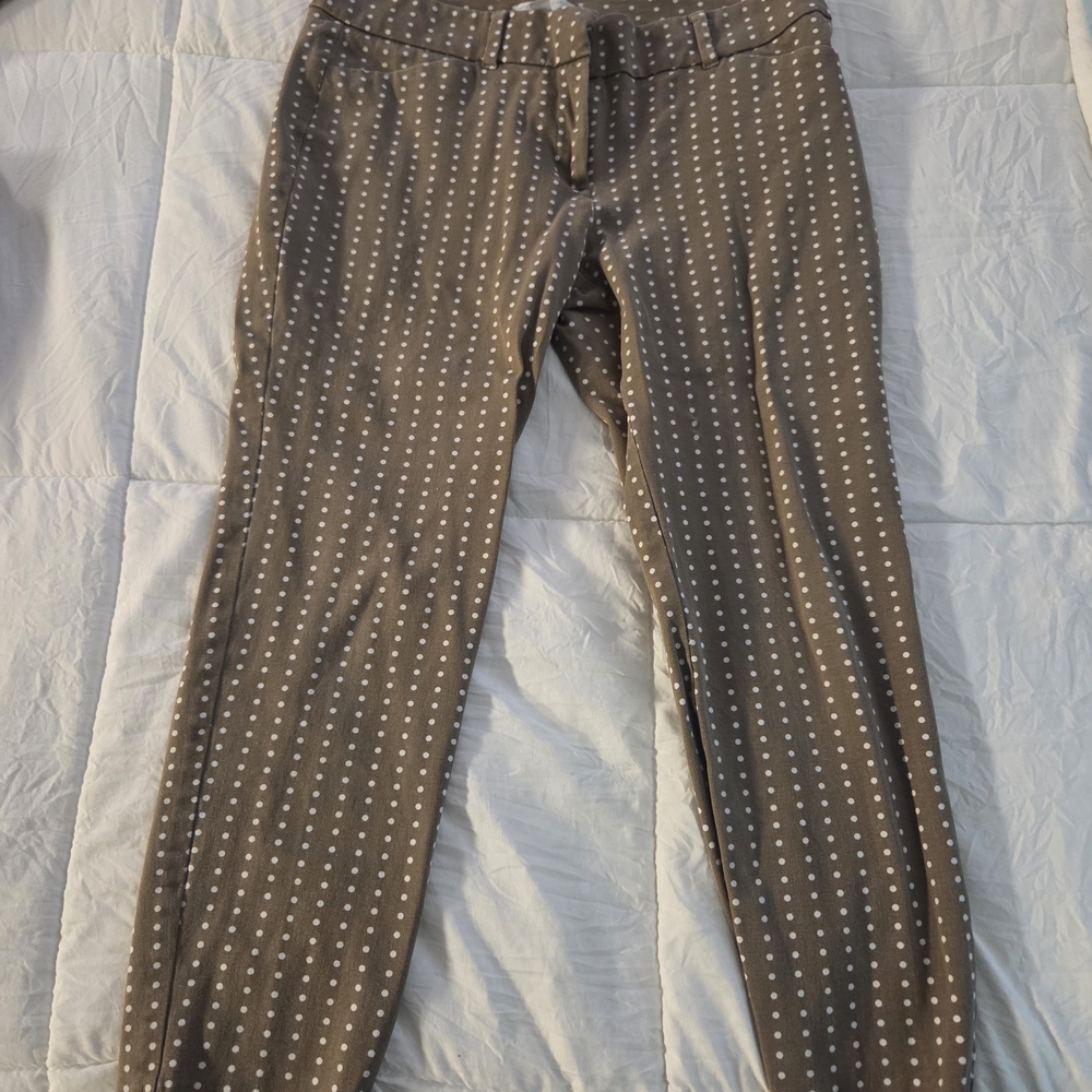New York & Company Tan and Polka Dot Chinos - Picture 4 of 7